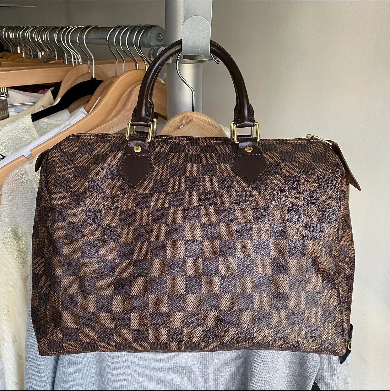 Louis Vuitton Damier Ebene Speedy 30 Bag