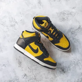 Nike Dunk High Michigan (2020)