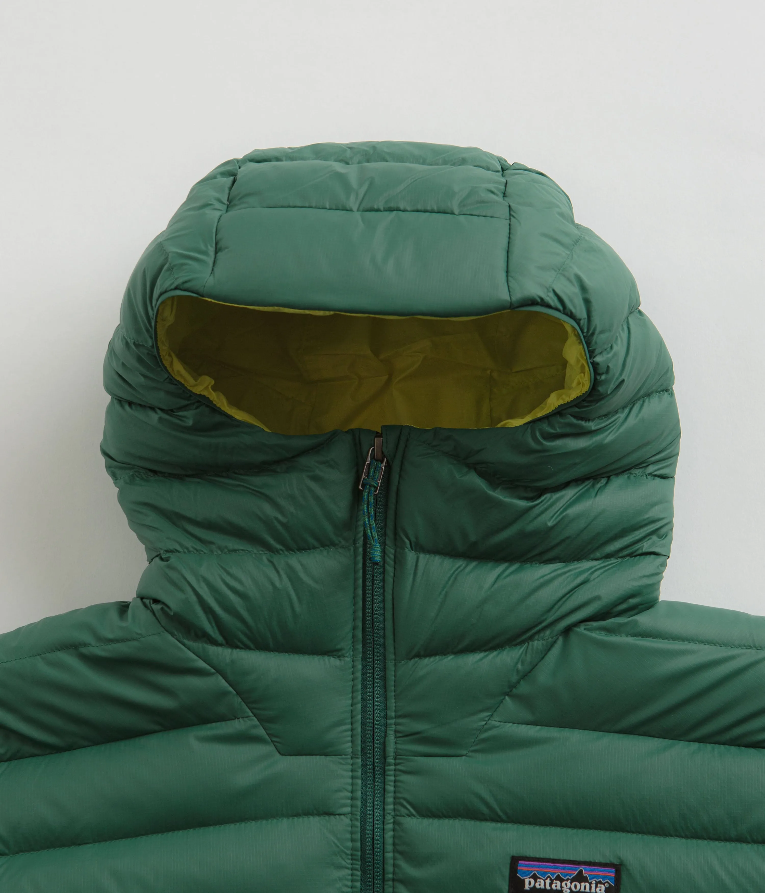 Patagonia Down Sweater Hooded Jacket (NetPlus) - Conifer Green