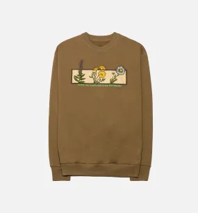 Poppy Crew Mens Crew - Brown